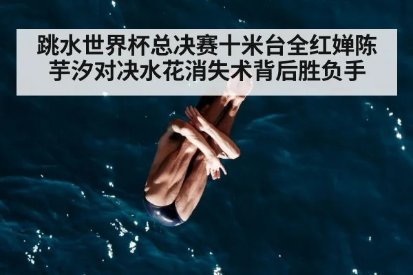 diver mid air dive